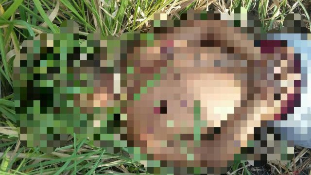 Morador de Serra Preta é encontrado morto a tiros na BA 052