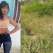 Travesti é encontrada morta a golpes de vidro de garrafa às margens da BA 120 entre Santaluz e Valente
