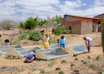 PB – Dessalinizador de baixo custo produz 16 litros de água potável por dia