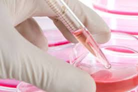 Começam os testes em humanos da vacina contra o vírus da AIDS