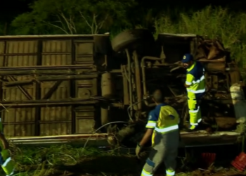 Acidente entre ônibus e caminhão deixa 5 mortos e 23 feridos em SP