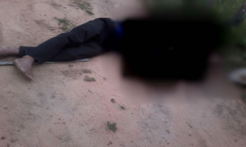 Após matar raposa, homem é encontrado morto em estrada vicinal em Serrolândia