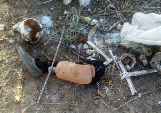 Restos mortais são encontrados ao lado de prótese de perna na zona rural de Araci