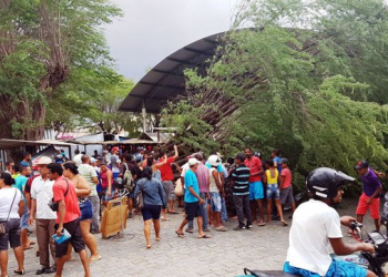Queimadas –  Vento derruba árvore sobre oito motocicletas no centro de abstecimento