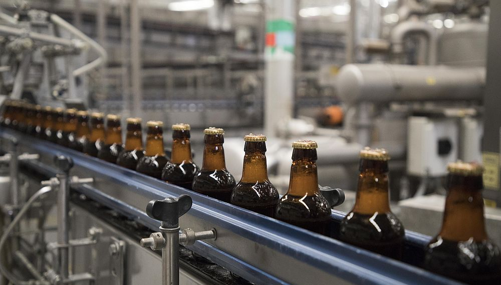 Cerveja passa por 376 etapas até chegar ao seu copo