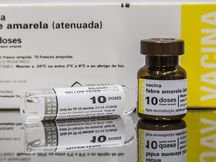 OMS vem ao Brasil para acompanhar fracionamento da vacina contra febre amarela