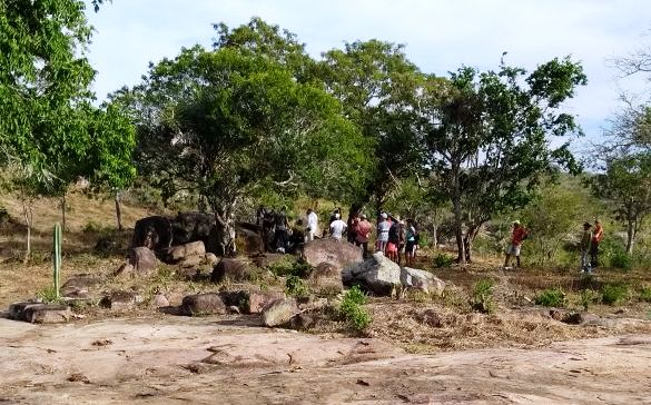 Itiúba- Homem que matou esposa a facadas é encontrado morto por enforcamento