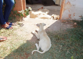 Pintor automotivo é assassinado na cidade de Euclides da Cunha. Primeiro homicídio de 2018
