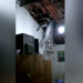 PB – Jumento sobe em telhado de casa em Cajazeiras; veja o vídeo