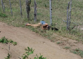 Mulher é encontrada morta a tiros próximo a cerca de arame em Riachão do Jacuípe