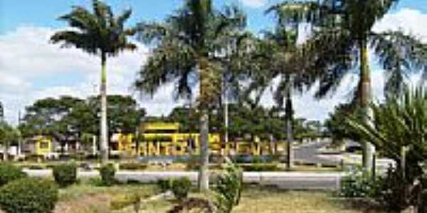 Morte de homem de 57 anos diagnosticado com febre amarela é investigada em Santo Estêvão