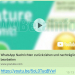 WhatsApp agora permite assistir vídeos do YouTube dentro do próprio app