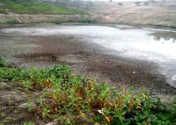 Coité – Moradores de Canta Galo pedem intervenção da Prefeitura para realizar limpeza de barragem