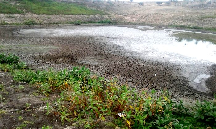 Coité – Moradores de Canta Galo pedem intervenção da Prefeitura para realizar limpeza de barragem