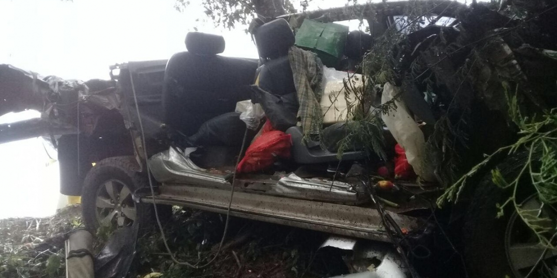 Jovem morre após carro cair em ribanceira e bater em árvore na Bahia; veículo ficou destruído