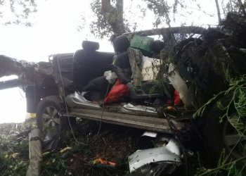 Jovem morre após carro cair em ribanceira e bater em árvore na Bahia; veículo ficou destruído