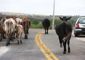 Poucas e boas da visita de Rui Costa a cidade de Olindina (atualizada)
