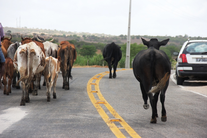 Poucas e boas da visita de Rui Costa a cidade de Olindina (atualizada)