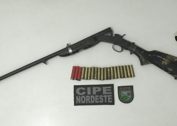 Cipe Nordeste encontra arma e munições em bagageiro de ônibus