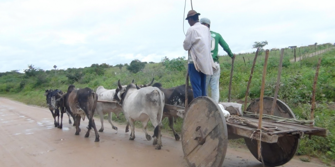 Colisão envolvendo automóvel e carro de boi mata idoso e deixa esposa gravemente ferida na BA 375
