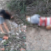 Corpos de dois jovens são encontrados na zona rural de Retirolândia