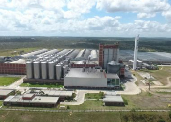 Por problemas ambientais, Heineken pode ter fábrica fechada em Alagoinhas