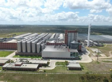 Por problemas ambientais, Heineken pode ter fábrica fechada em Alagoinhas