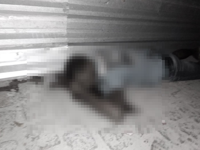 Morador de Feira de Santana é assassinado a tiros em Coité e jovem fica ferida