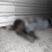 Morador de Feira de Santana é assassinado a tiros em Coité e jovem fica ferida