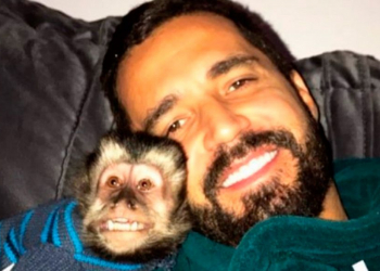 Macaco de Latino morre atropelado: ‘Ele está inconsolável’