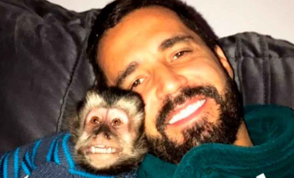 Macaco de Latino morre atropelado: ‘Ele está inconsolável’