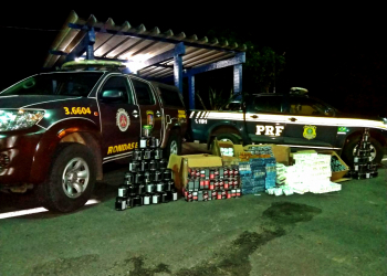 Ação da PM e PRF apreende cerca de 70 mil estimulantes na BR 242