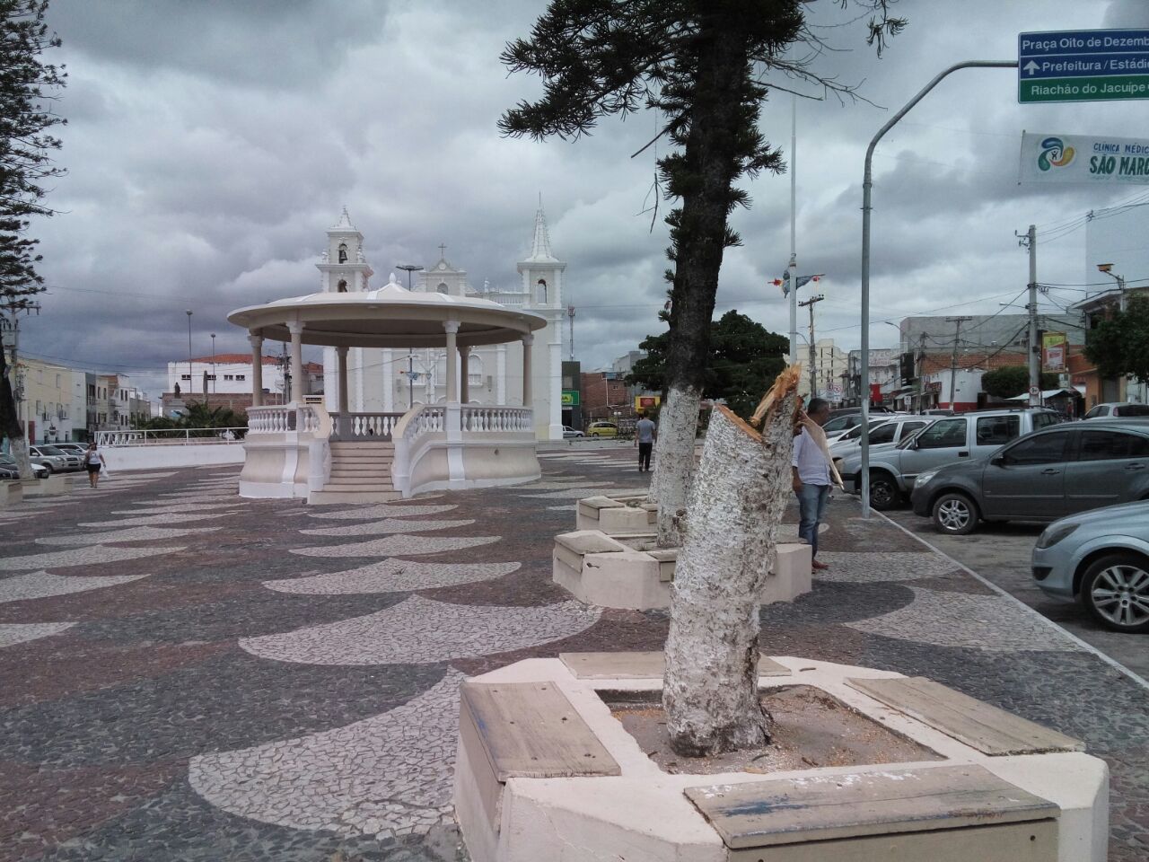 Coité – Derrubada de árvores na Praça da Matriz gera polêmica