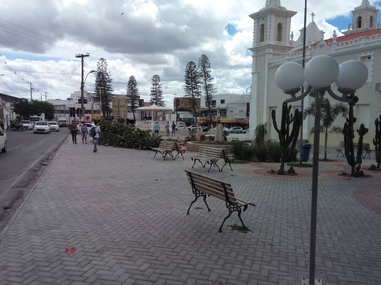 Coité – Derrubada de árvores na Praça da Matriz gera polêmica