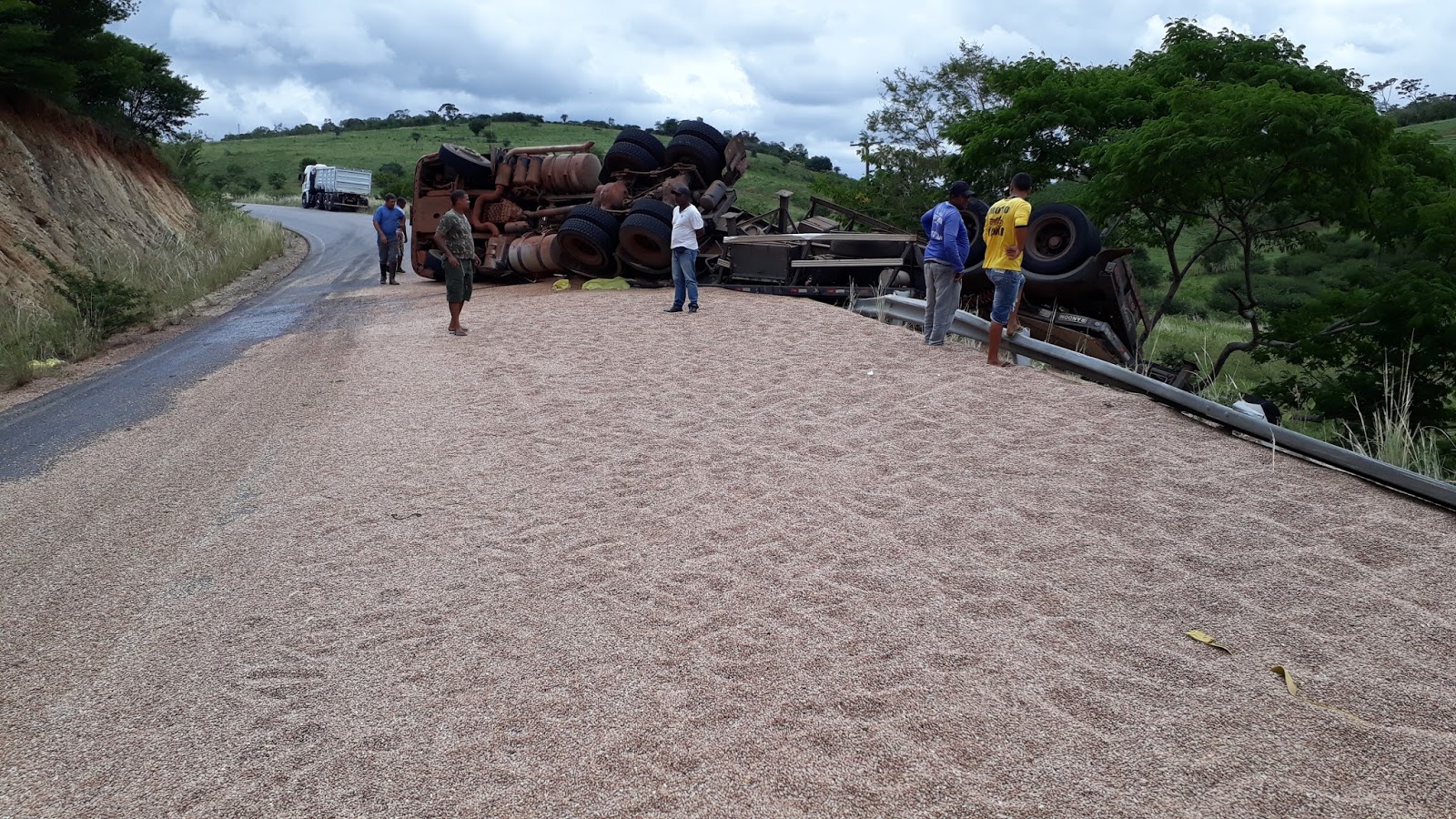 Bi-trem carregado de feijão tomba na BA 130