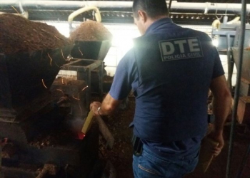 Mais de 100 quilos de drogas são incinerados em Conquista