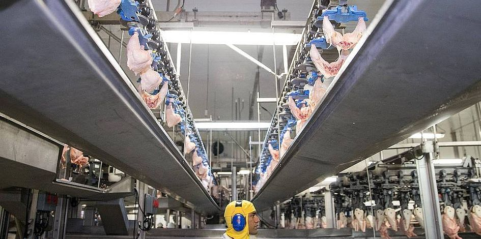 UE proíbe 20 frigoríficos brasileiros de exportar frango