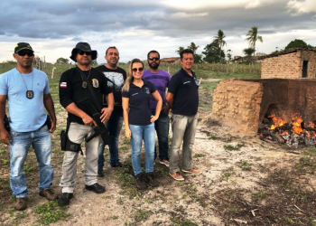 Delegacia de Coité incinera mais de 50kg de droga