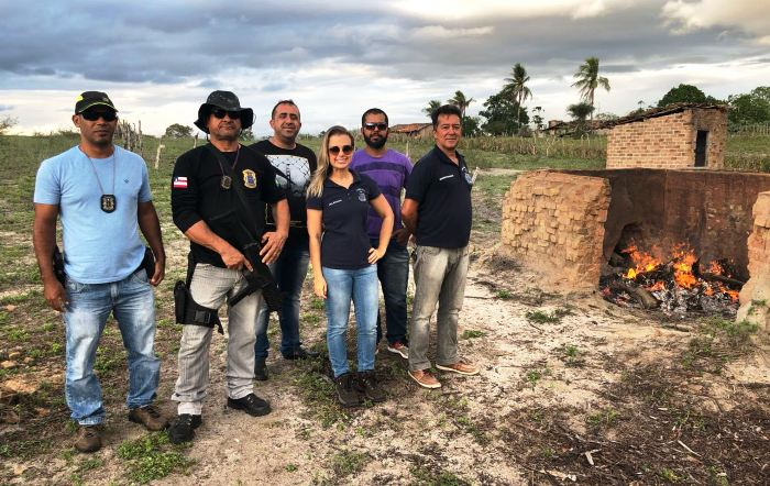 Delegacia de Coité incinera mais de 50kg de droga