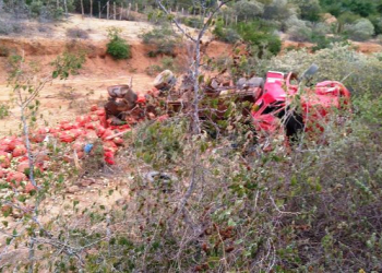 Caminhão carregado de cebola capota na estrada do feijão e motorista morre