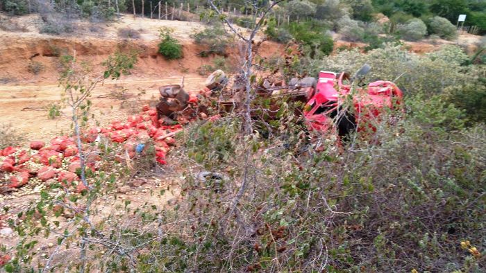 Caminhão carregado de cebola capota na estrada do feijão e motorista morre