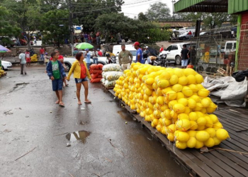 Cargas de alimentos perecíveis estão sendo liberadas em Feira de Santana
