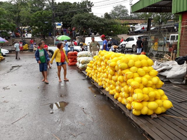 Cargas de alimentos perecíveis estão sendo liberadas em Feira de Santana