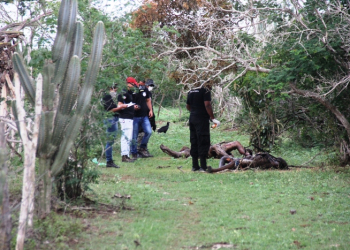 Dois corpos em avançado estado de decomposição são encontrados na zona rural de Coité ( Atualizada às 17h05)
