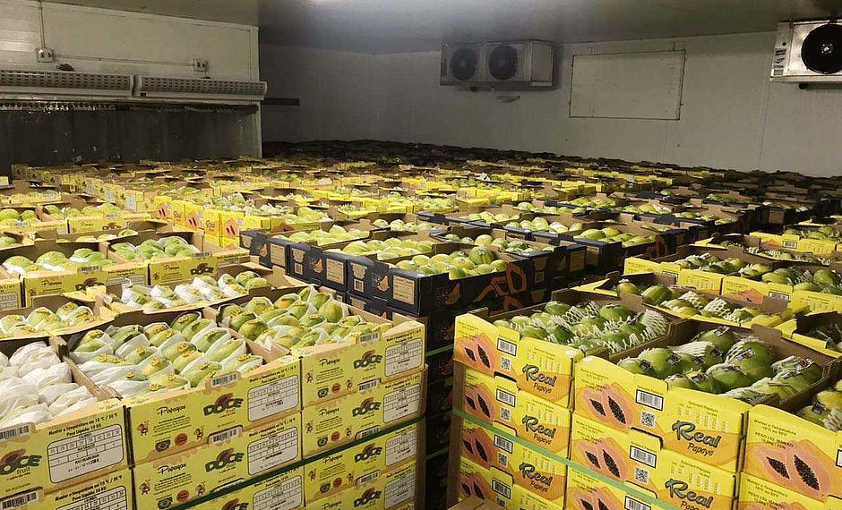 Exportadores de frutas do Vale do São Francisco têm prejuízo de R$ 570 milhões