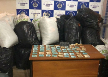 Meia tonelada de maconha e R$ 55 mil são apreendidos após polícia achar vídeos da droga em celular; homem foi preso