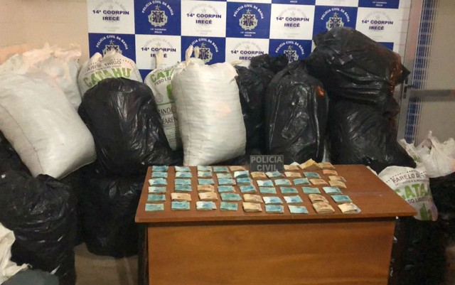 Meia tonelada de maconha e R$ 55 mil são apreendidos após polícia achar vídeos da droga em celular; homem foi preso