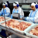 UE proíbe importação de 20 frigoríficos brasileiros a partir de amanhã