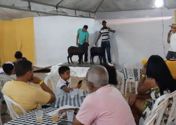 9ª Feirafes movimentou mais de R$ 2 milhões no último fim de semana em Valente