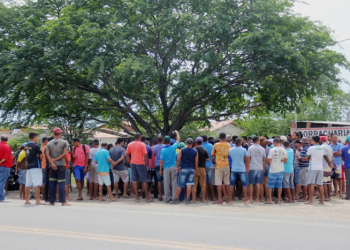 Caminhão carregado de carne é parado em Riachão do Jacuípe e prefeito oferece um boi para ser liberado